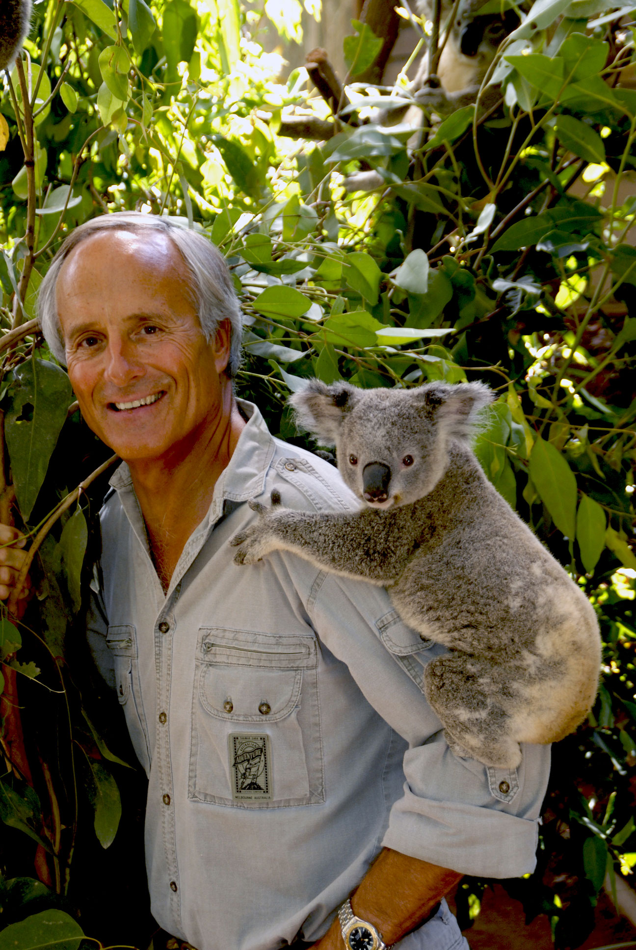 /_uploaded_files/jack-hanna_with_baby_koala_new-2.jpg