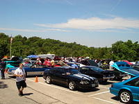/_uploaded_files/mustang.jpg