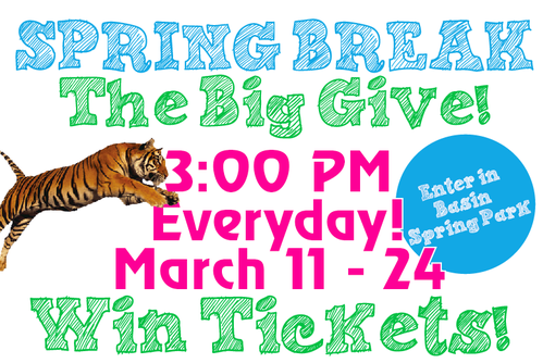 /_uploaded_files/springbreakgiveaway.png
