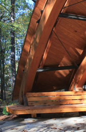 /_uploaded_files/tulip-shelter.jpg