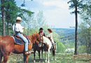 Dinner Bell Ranch & Resort
