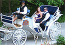 Z - Olden Days Carriage Rides