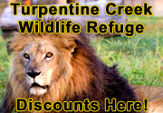 Turpentine Creek Wildlife Refuge