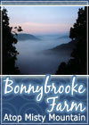 Bonnybrooke Farm Atop Misty Mountain