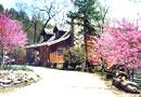 4 Deluxe Log Cabin Cottages For Sale By Owner