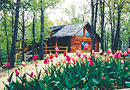 Cherokee Mountain Log Cabin Resort