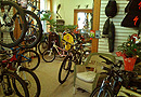 Adventure Mountain Outfitters