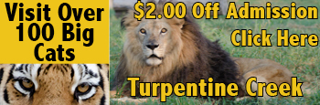 Turpentine Creek Wildlife Refuge