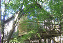 Eureka Springs Treehouses