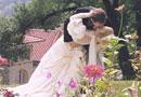 The Imagery  - Susan Storch Photographer