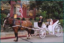 Wedding, Eureka Springs, AR
